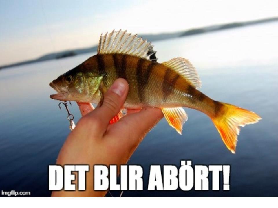 рыба с текстом каламбура по-шведски