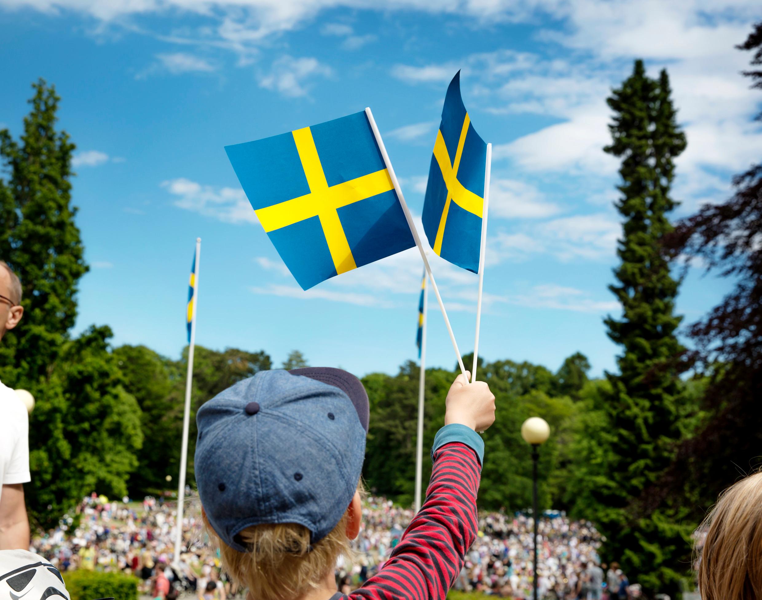 ребенок машет шведским флагом