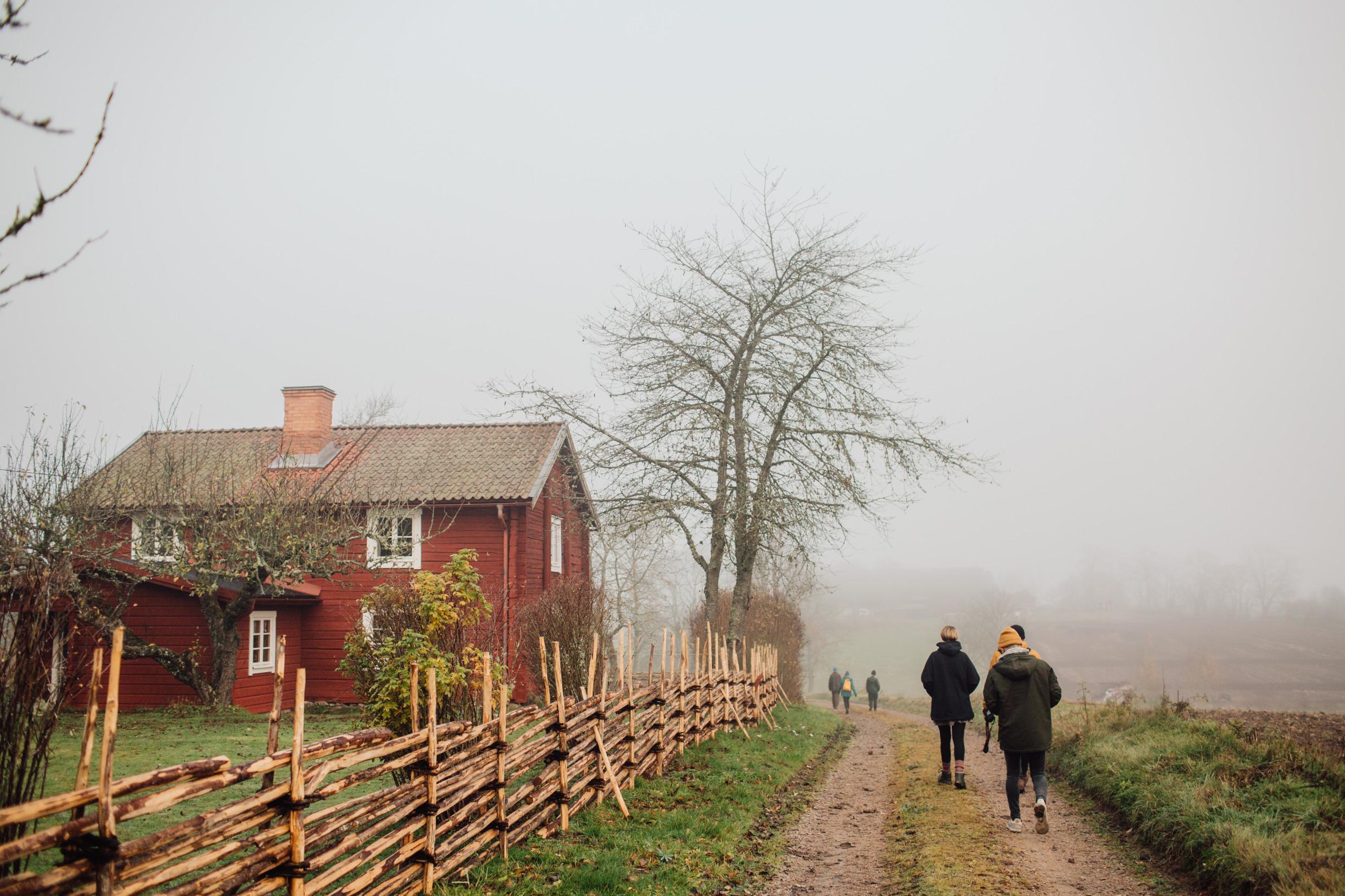 типичный красный деревянный дом в шведской деревне