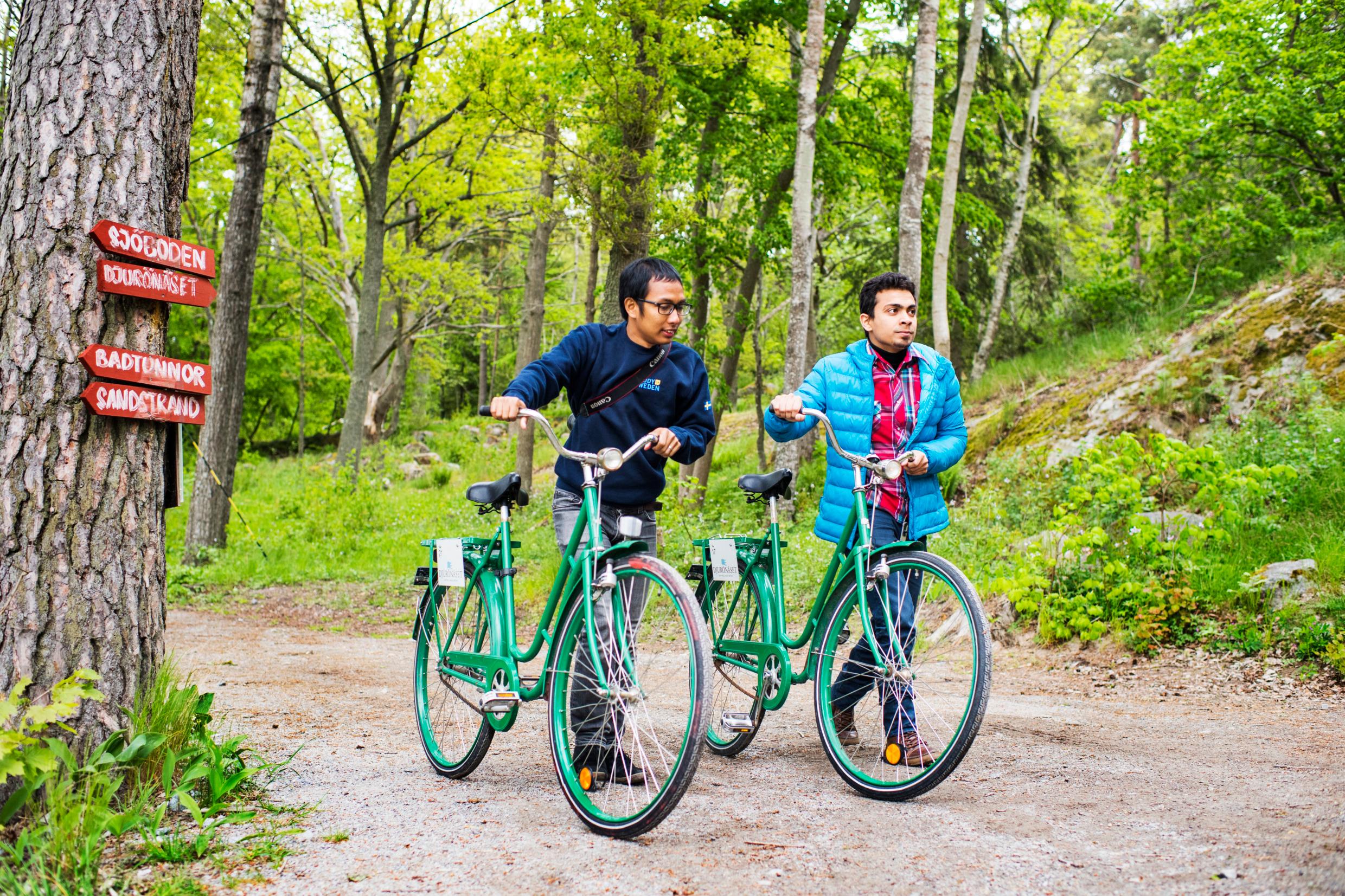 Велосипедисты в лесу